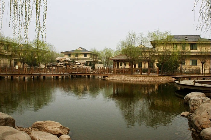 阳光园景.jpg