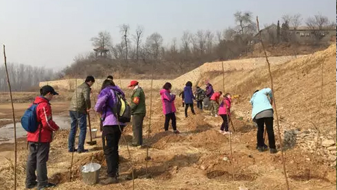 运河苑植树