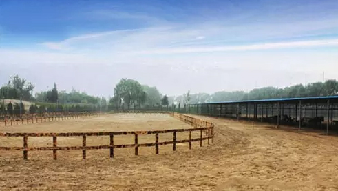运河苑骑马